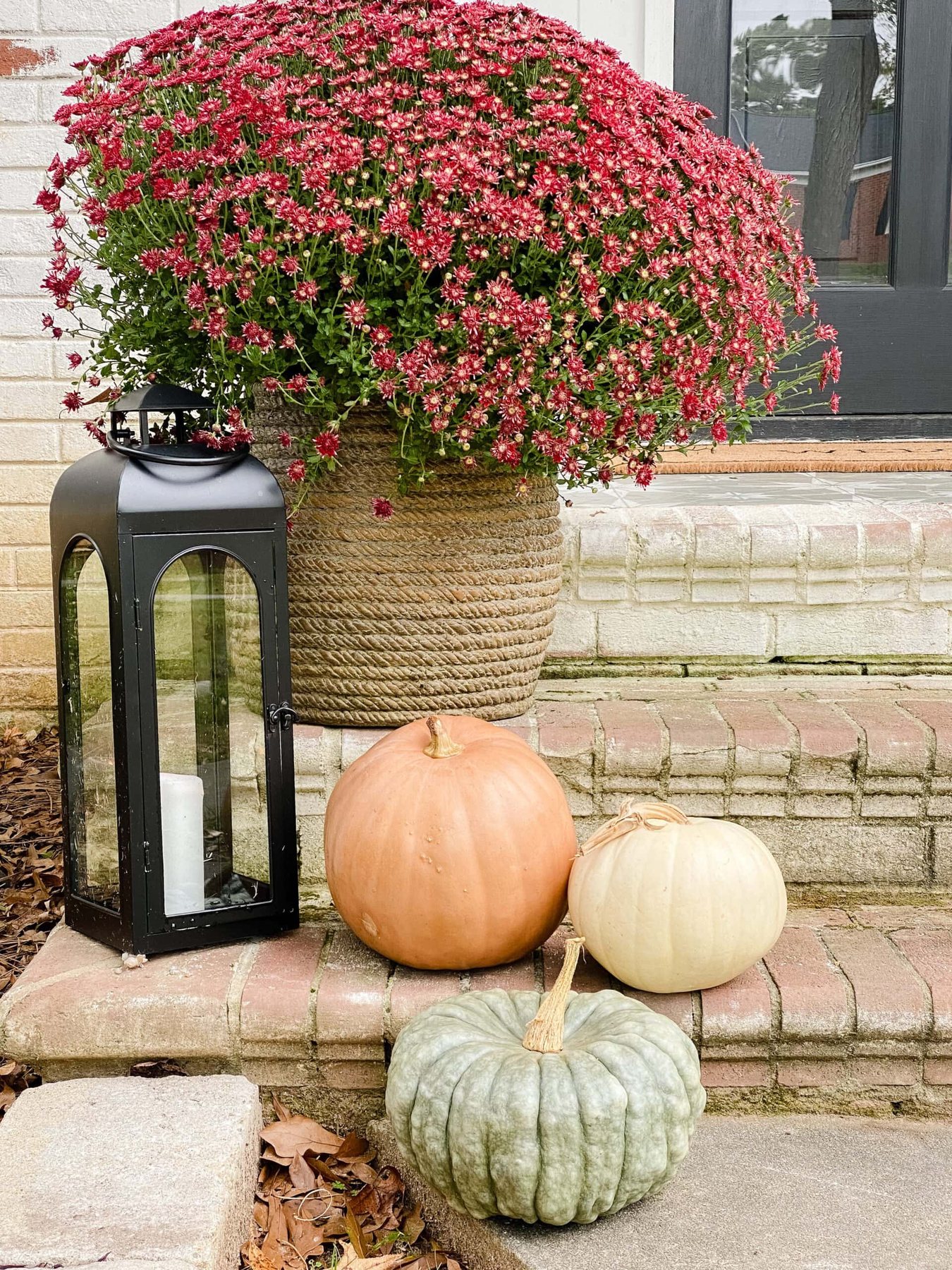How to Keep Pumpkins from Rotting – 1 Minute Trick