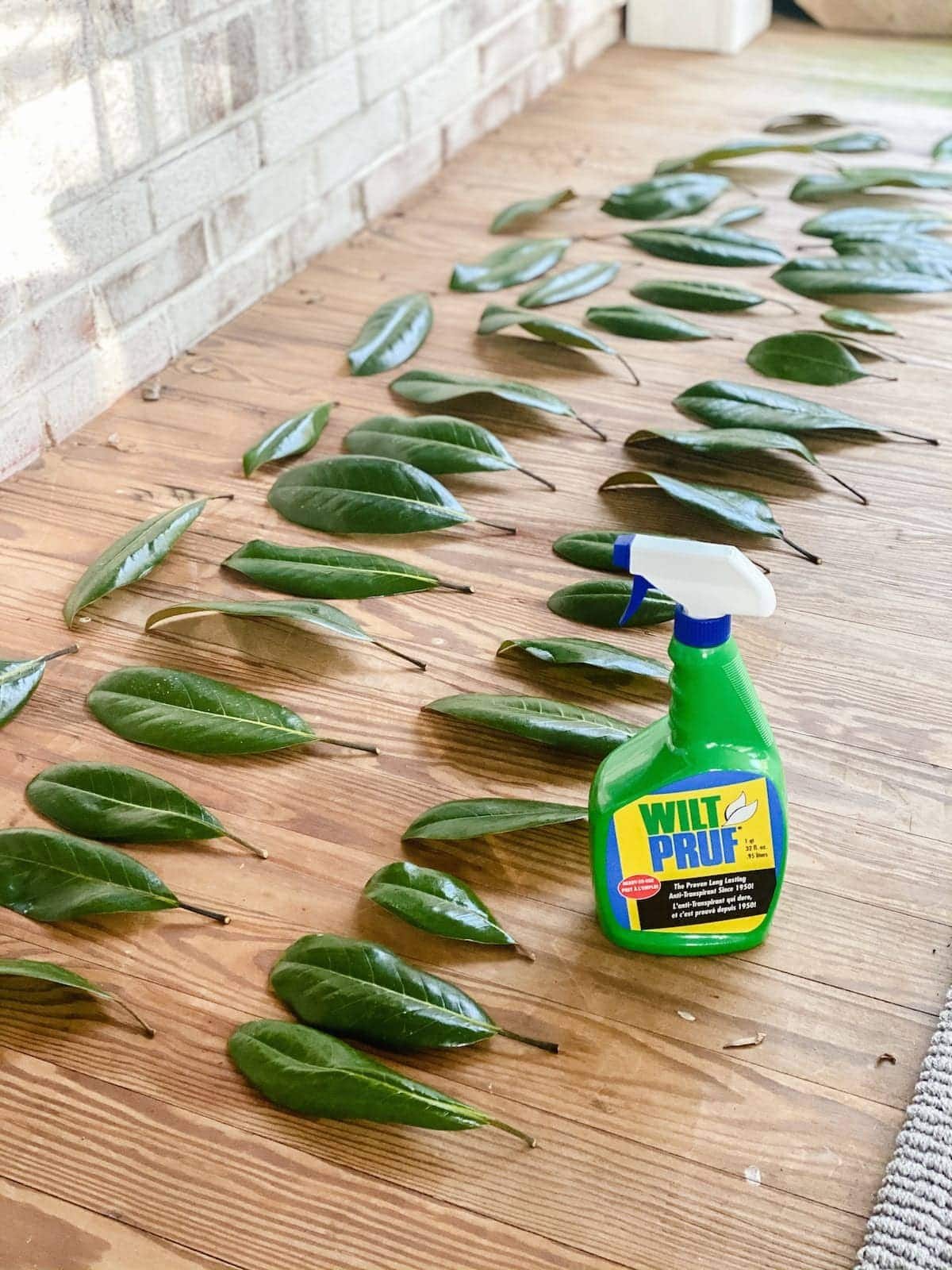 Making Magnolia leaves last longer using WiltPruf