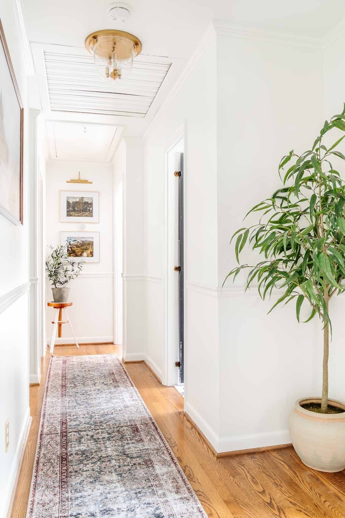 small hallway ideas : add art, a runner, plants, and interesting lighting