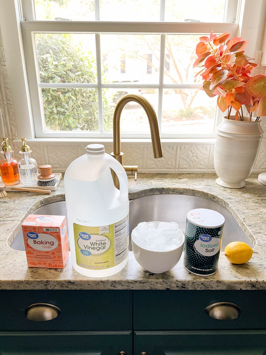 garbage disposal cleaner ingredients on a kitchen sink