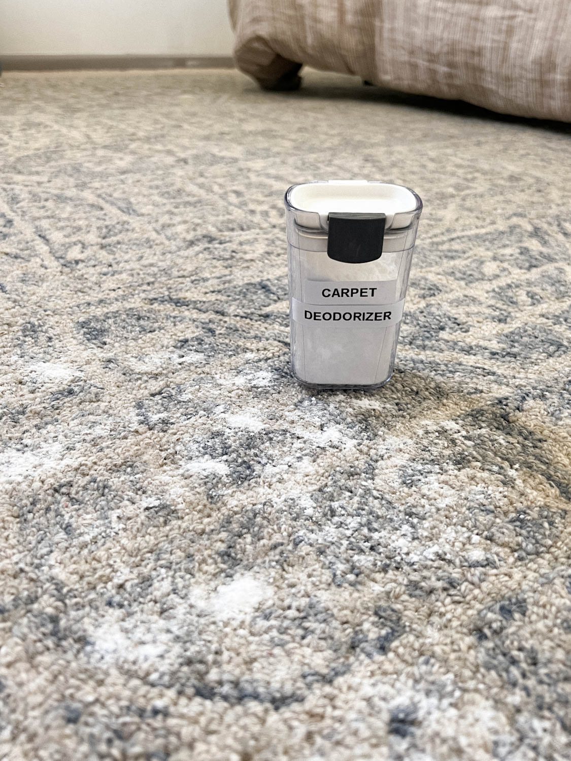 DIY carpet deodorizer sprinkled on a rug
