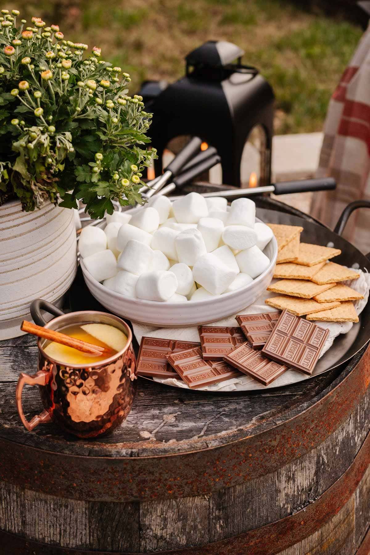 s'mores station at backyard party for fire pit idea