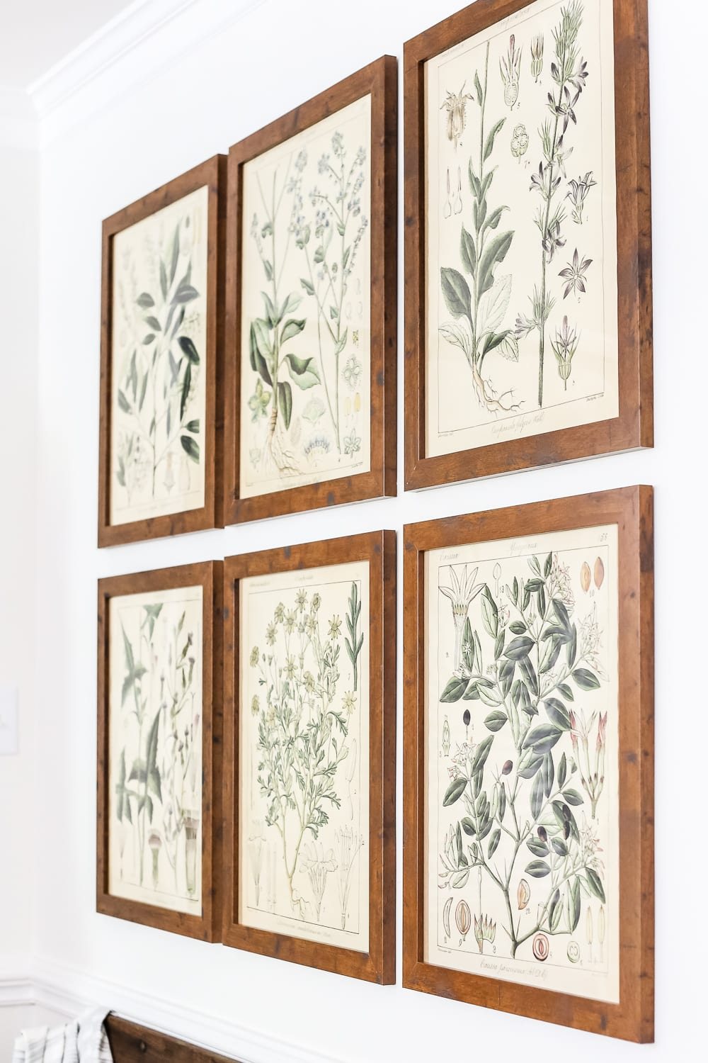 Botany Printable Art and a Wall Decor Hanging Trick | unigumushane.com - A free download of botany printable art perfect for spring and summer, plus a wall decor hanging hack to make hanging frames quick and easy.