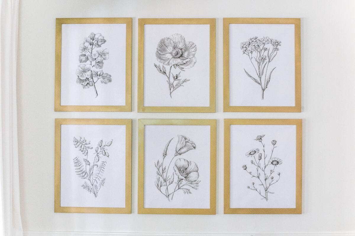 A free high resolution printable set of black and white modern minimalist botanical art and the best aged brass spray paint for frames.