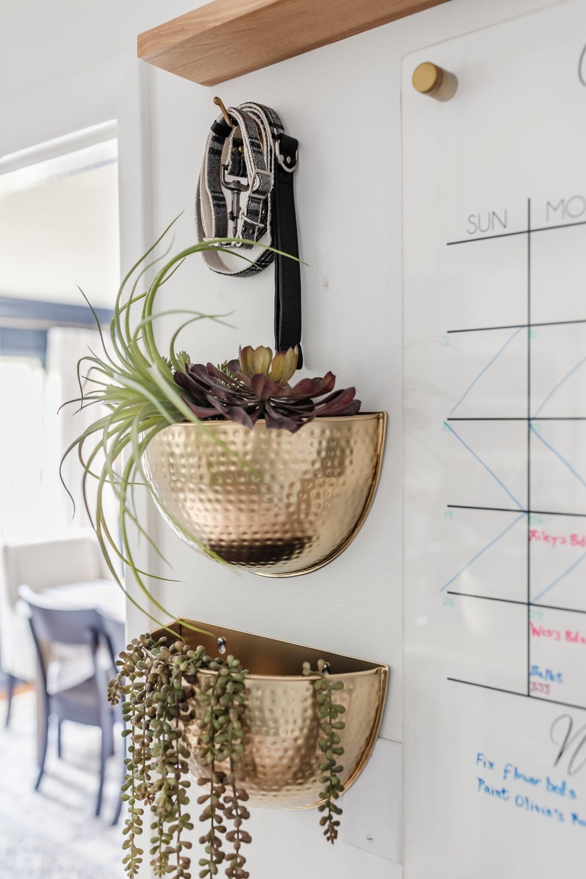 hammered brass wall planters with hook for dog leash