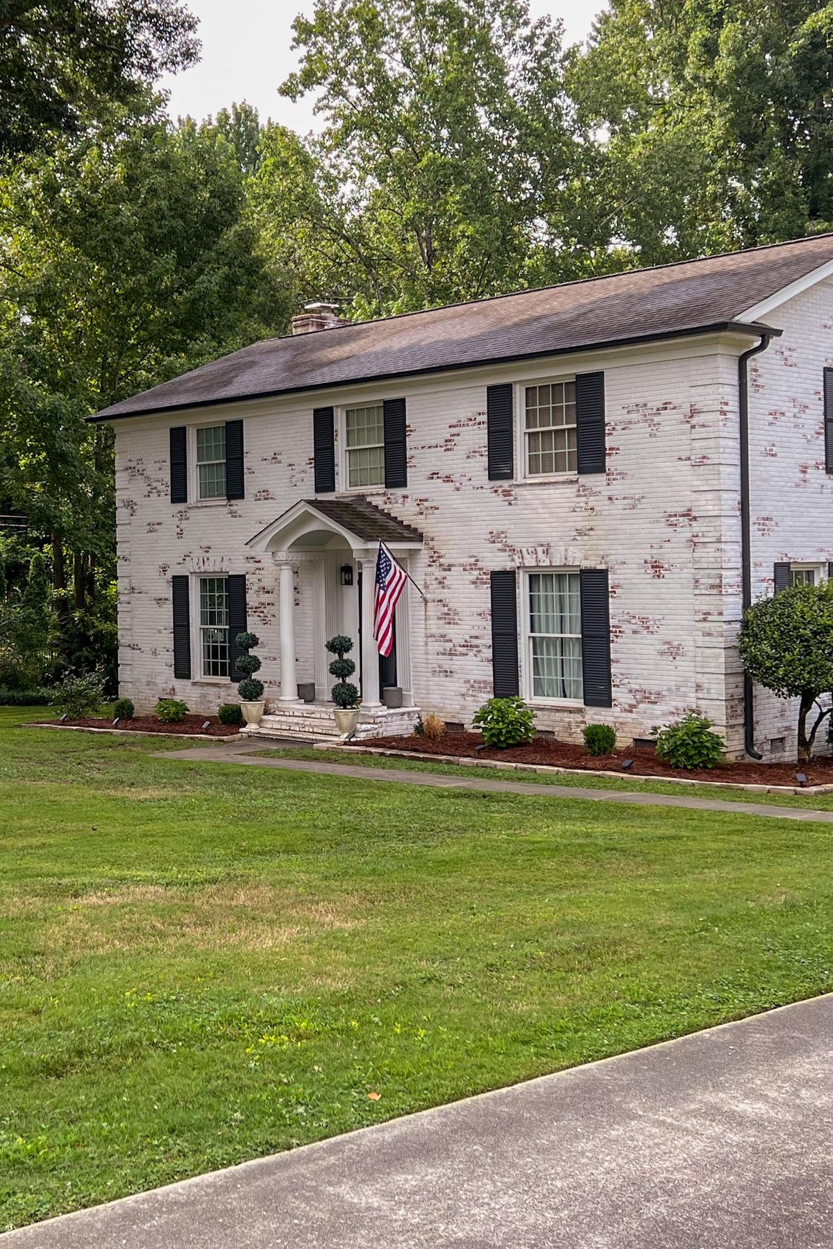 patchy weed filled lawn before