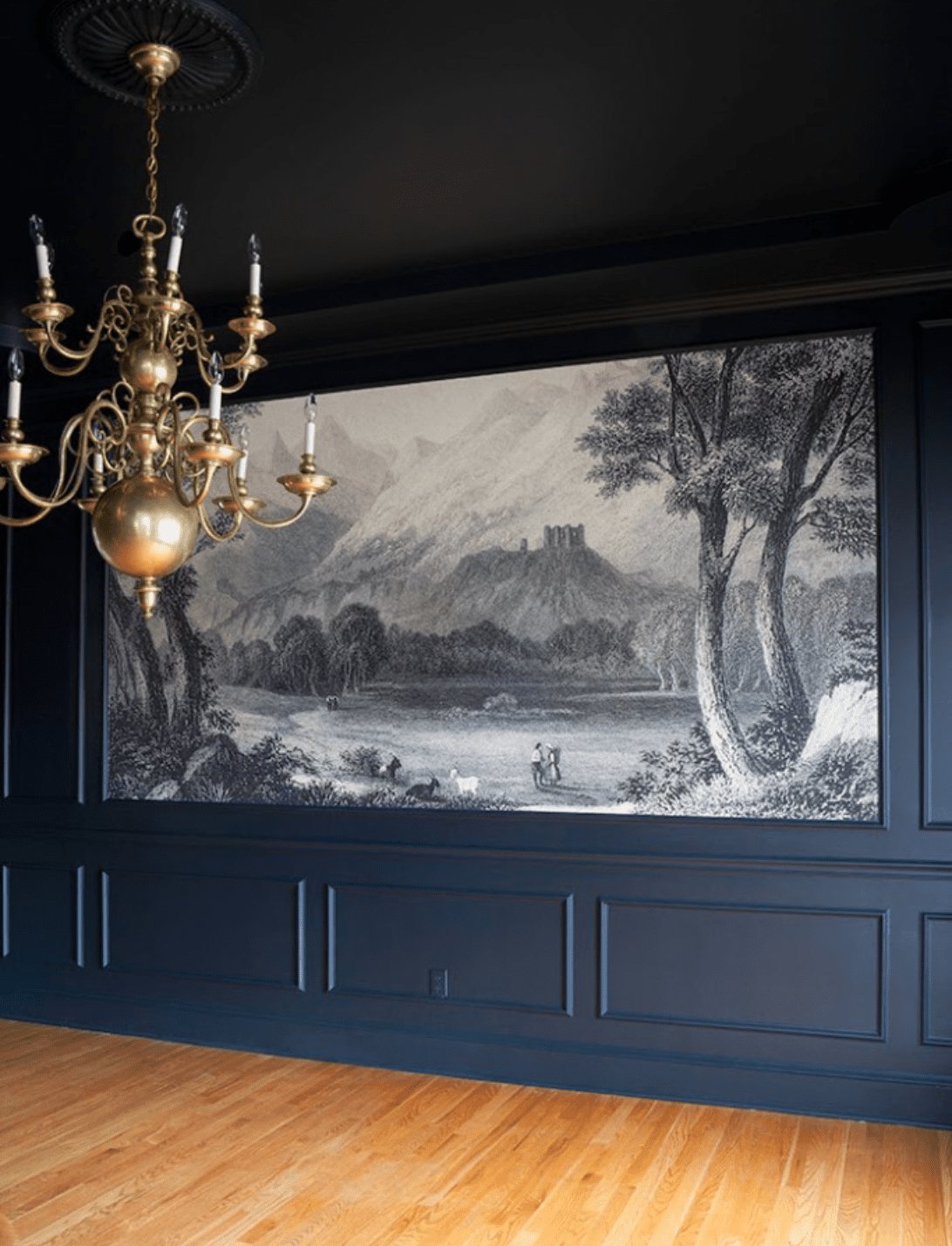navy picture frame molding with scenic wall mural