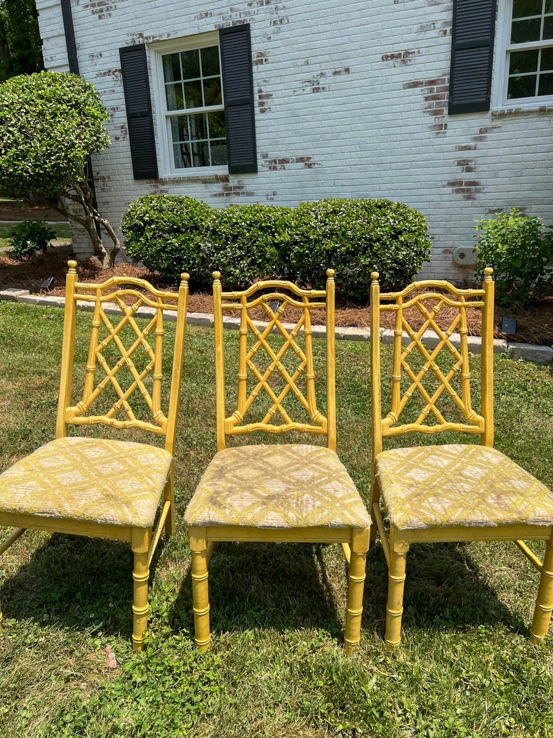 thrifted yellow chippendale style bamboo chairs before