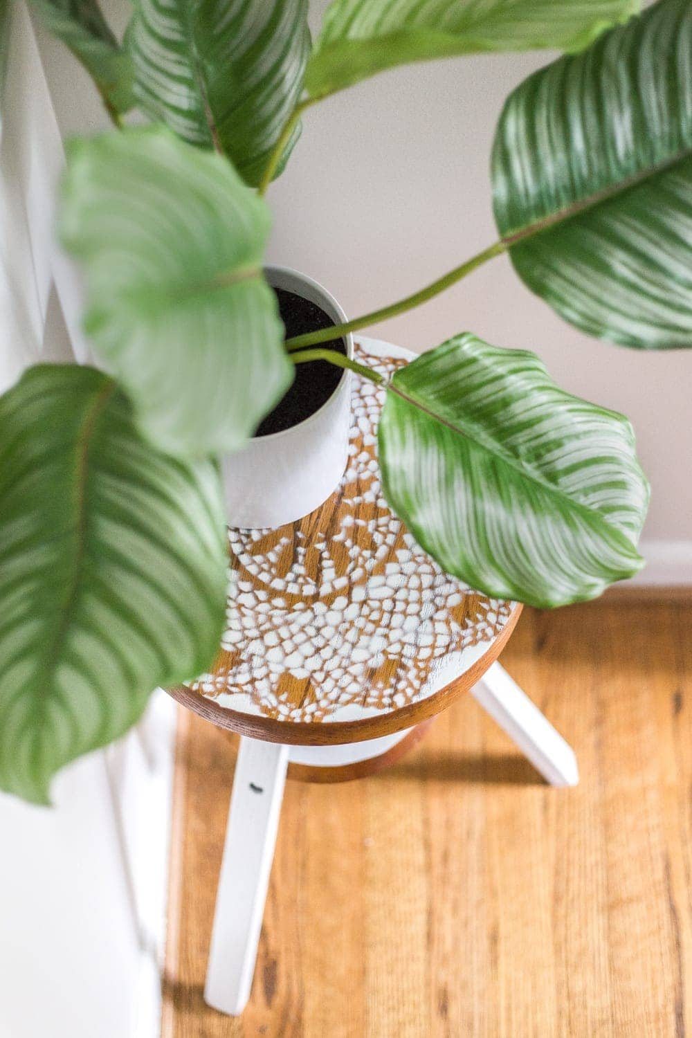 Plant Stand from a Repurposed Piano Stool