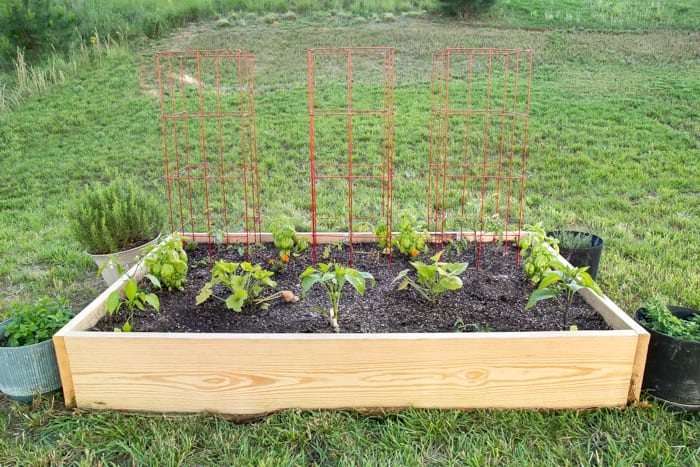 a newly built raised bed vegetable garden in a backyard