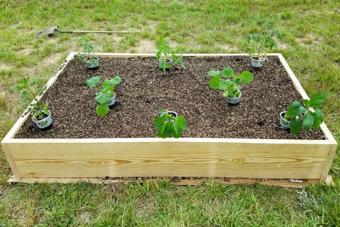 planning plant placements for preparing a raised bed vegetable garden frame