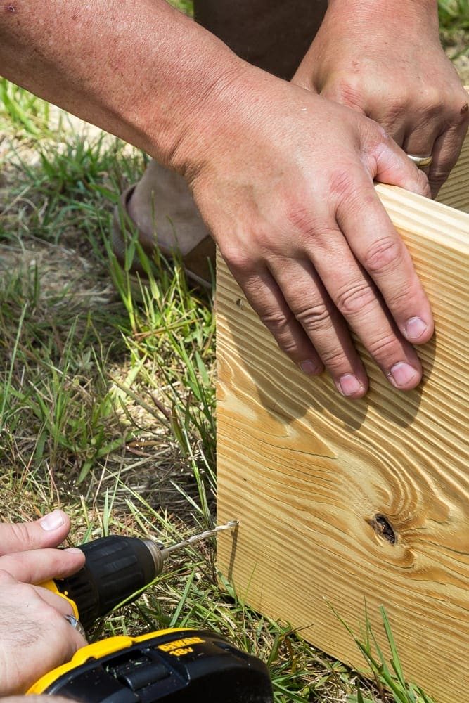 screwing boards together for building a raised bed vegetable garden frame