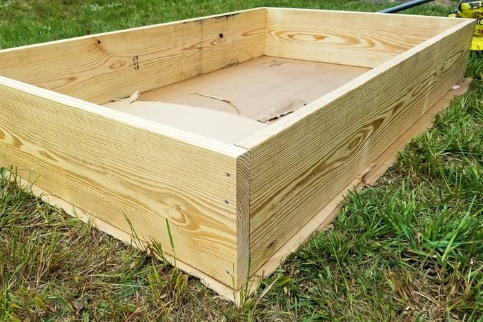 laying cardboard in the base of a raised bed vegetable garden frame
