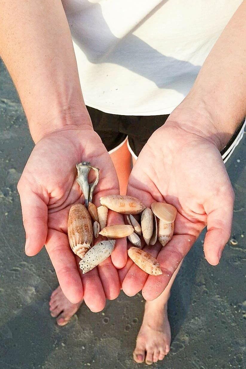 DIY Seashell Printer Tray Shadow Box + Coastal Vignette | Unigumushane