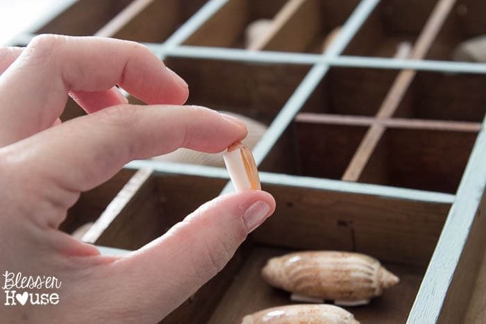 DIY Seashell Printer Tray Shadow Box + Coastal Vignette | Unigumushane
