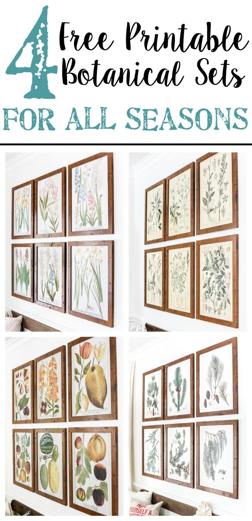 A free printable set of spring botanical art for $3 each on color engineer prints or free from your own printer to frame as wall decor. #gallerywall #springdecor #springprintable #freeprintable #freeart