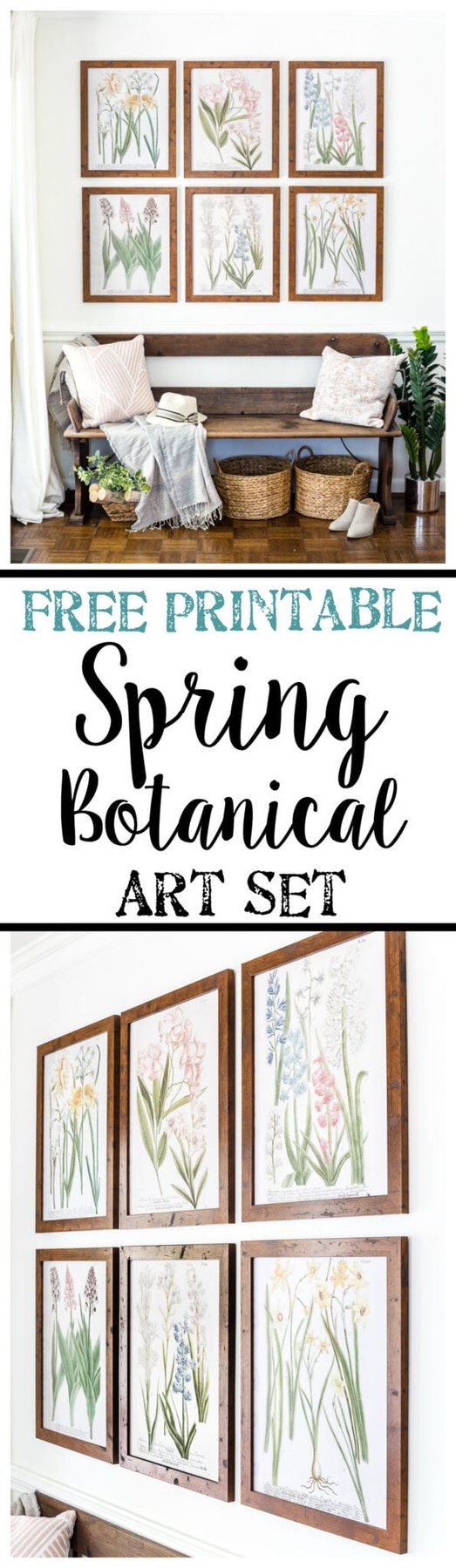 A free printable set of spring botanical art for $3 each on color engineer prints or free from your own printer to frame as wall decor. #gallerywall #springdecor #springprintable #freeprintable #freeart