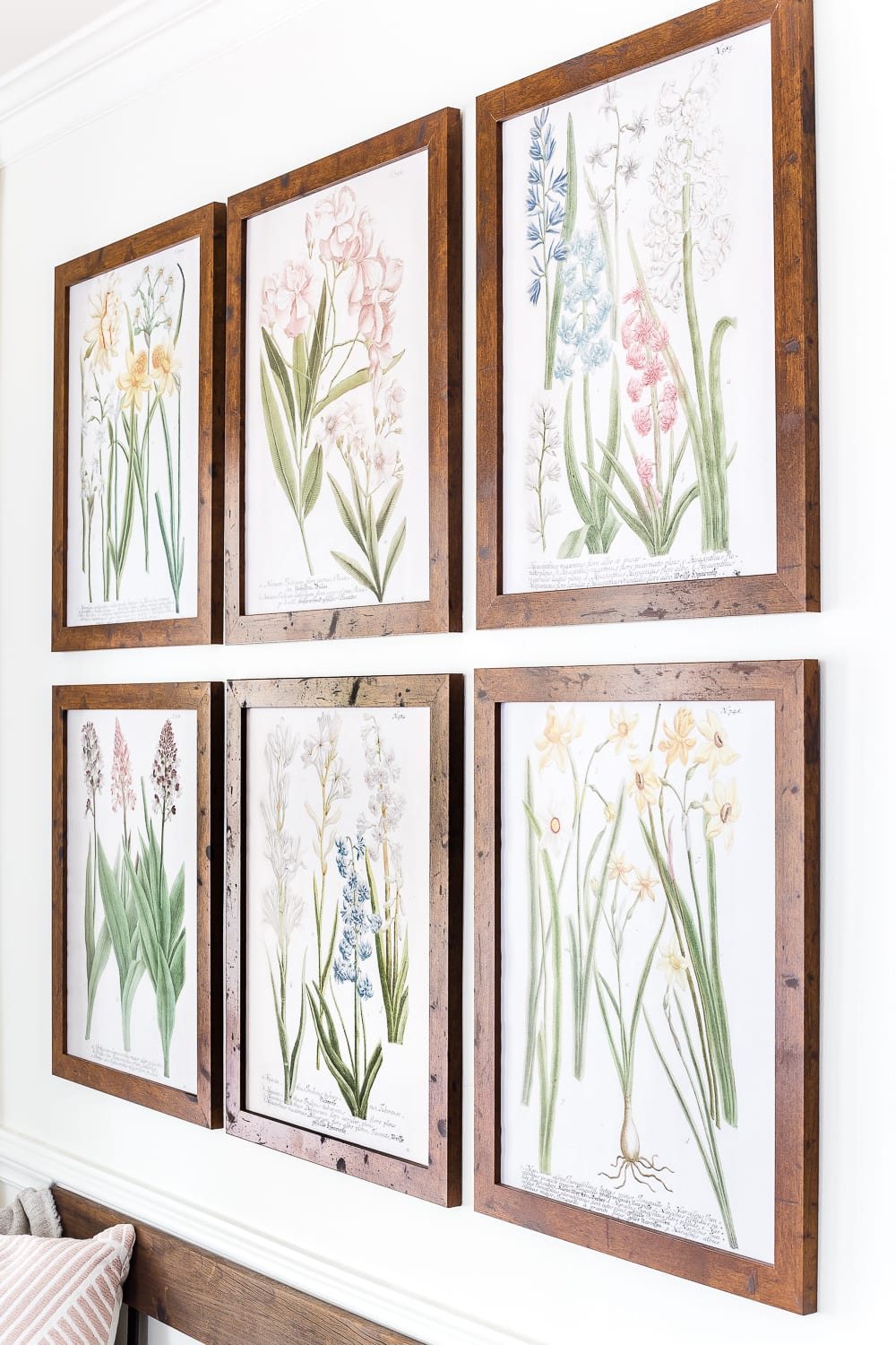 A free printable set of spring botanical art for $3 each on color engineer prints or free from your own printer to frame as wall decor. #gallerywall #springdecor #springprintable #freeprintable #freeart