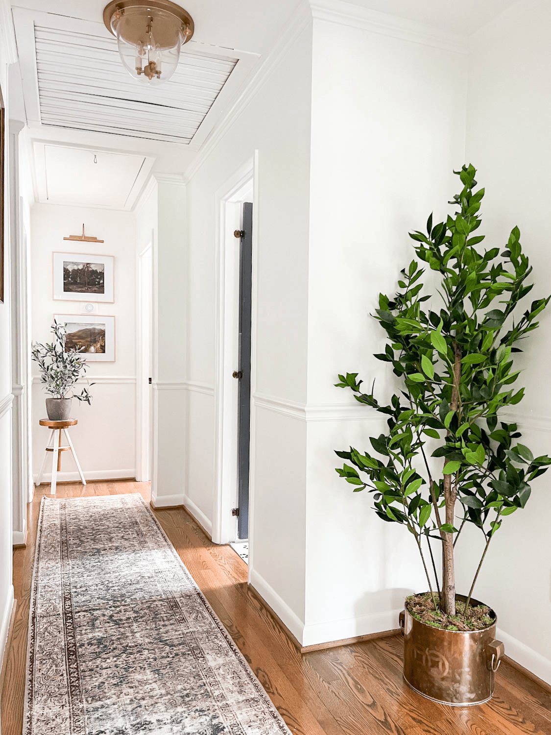 fake tree in a hallway place in a brass planter to look real