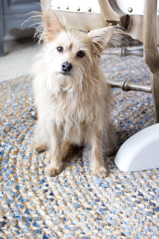 What to Know Before Buying Jute Rugs | unigumushane.com - A totally honest review with the pros and cons for what to know before buying jute rugs along with where to buy them on a budget.