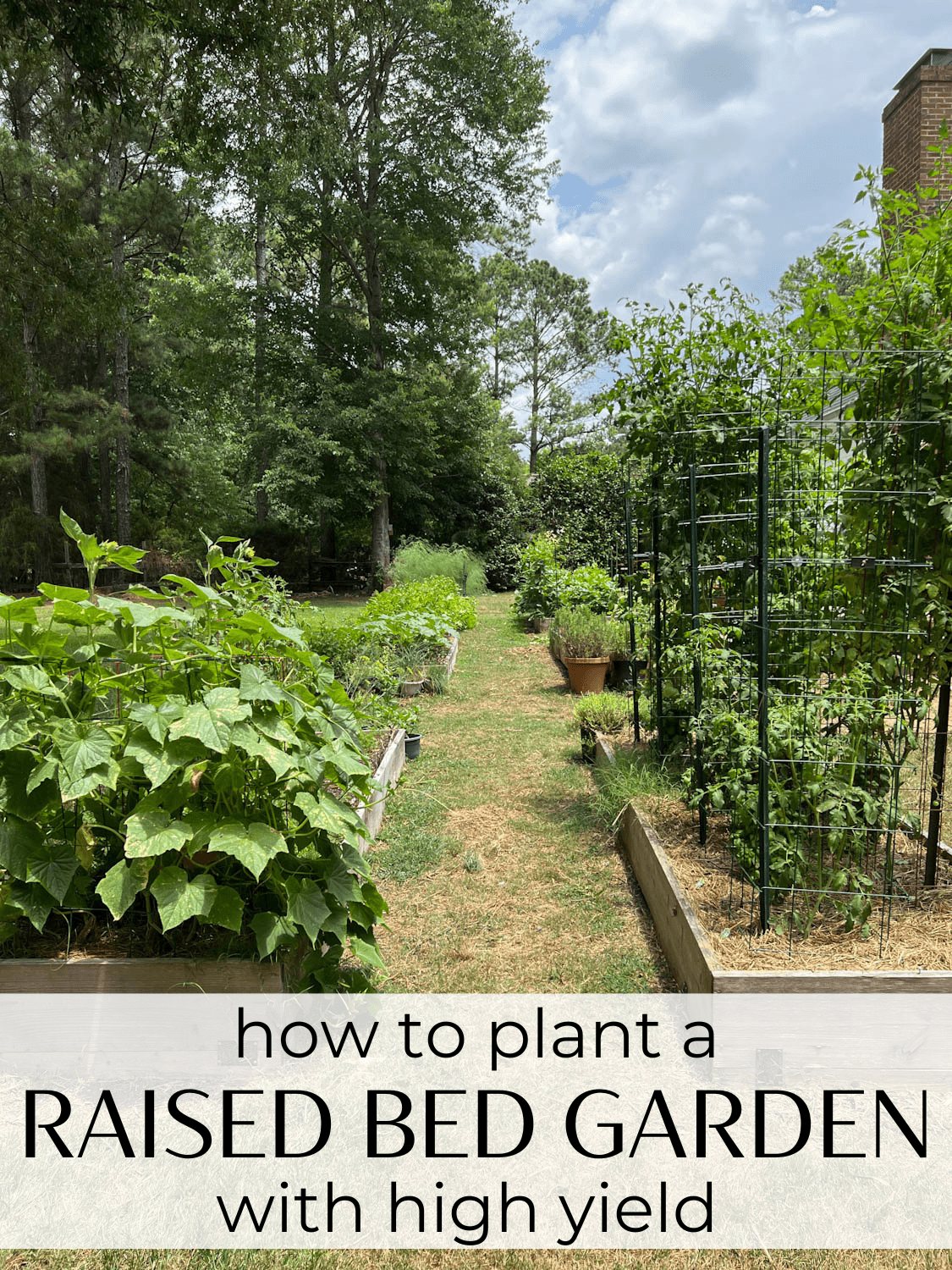 The tricks and secrets for how to plant a raised bed vegetable garden with high yield. A master gardener shares his best tips.