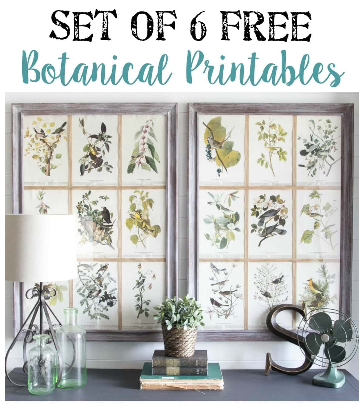Free Botanical Printables | unigumushane.com