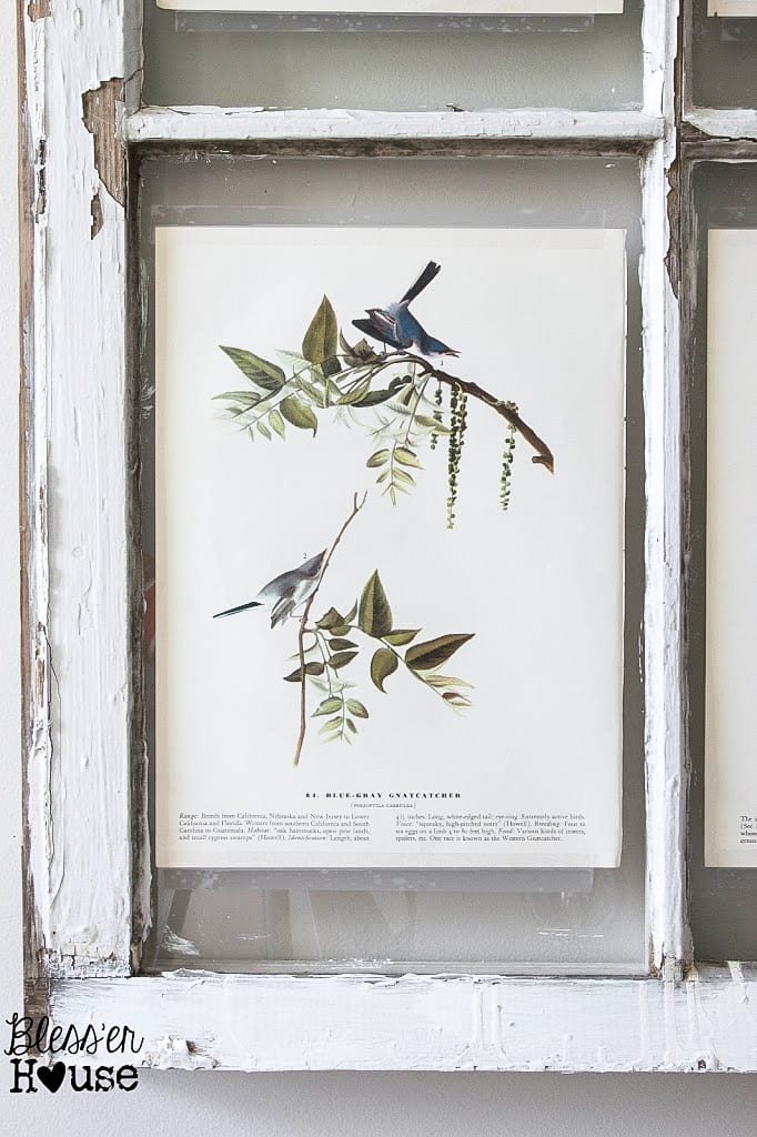 Easy Window Picture Frame and Free Botanical Printables | unigumushane.com
