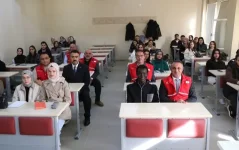 1000476232.webp