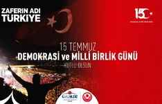1753631623032.webp