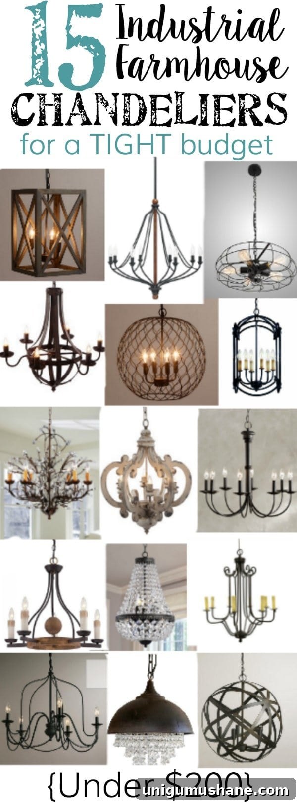 featured 22686