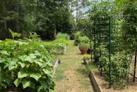 How to Grow a High Yield Raised Bed Vegetable Garden