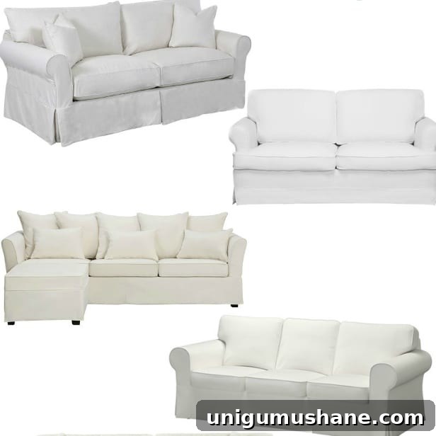 featured 24702