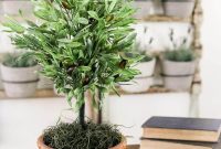 How to Make an Olive Topiary Tree for Your Home