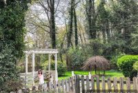 Backyard Landscaping Transformation: Before and After Photos