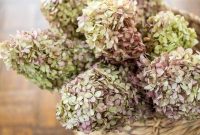 Preserved Flowers: Drying Leaves and Blooms for Home Decor