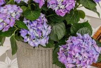 How to Make Faux Concrete Planters with Spray Paint