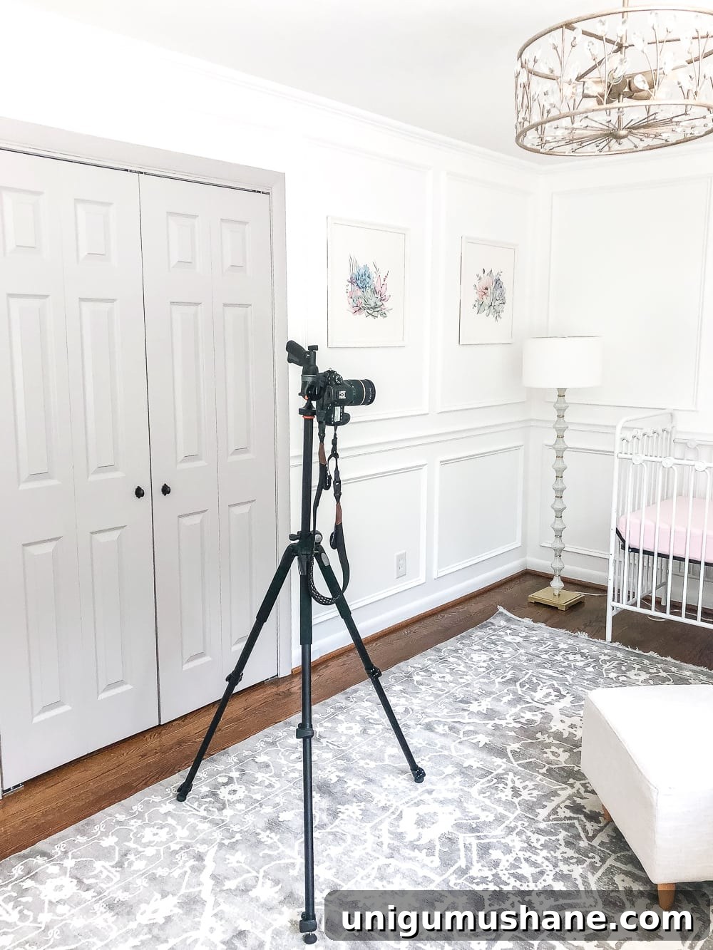 Become a Blogger: Start a Blog and Grow Your Audience 8 camera photographing a room - how to become a blogger
