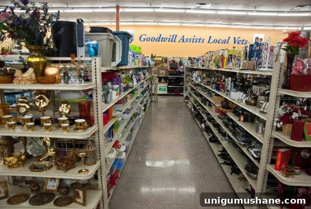 Insider Goodwill Thrift Shopping Tips From the Pros 3 12 Goodwill Shopping Secrets Revealed | Bless'er House -- Here are some of my favorite Goodwill shopping secrets. Use these tips while browsing the Goodwill aisles and see what treasures you find!