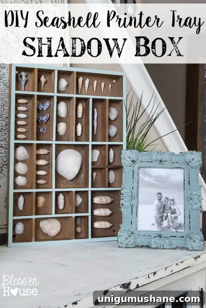 Seashell Printer Tray Shadow Box for Coastal Vignette 2 DIY Seashell Printer Tray Shadow Box + Coastal Vignette | Bless'er House