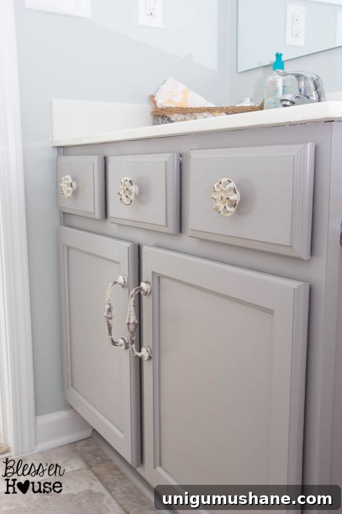 How to Paint Kitchen Cabinets: A Step-by-Step Guide for Beginners 10 Beginner's Guide to Painting Cabinets | Bless'er House