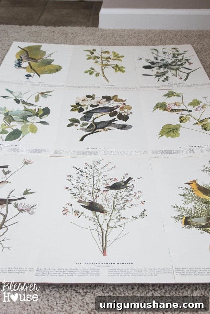How to Create Botanical Art from Book Pages 6 DIY Book Page Botanical Art | Bless'er House - So pretty and cheap!