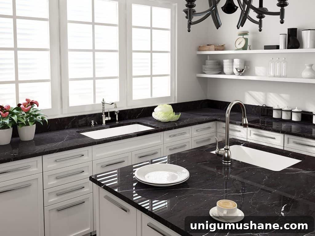 Modern kitchen featuring a farmhouse apron front sink