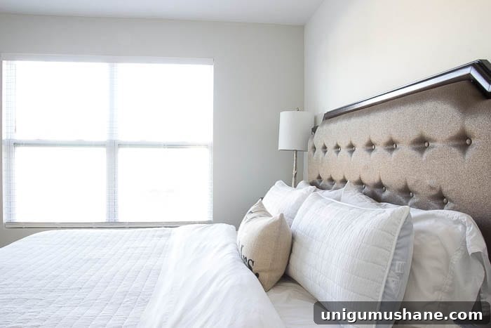 Get Designer Paint Colors for Less 8 The Trick to Get Designer Paint Colors on the Cheap | blesserhouse.com