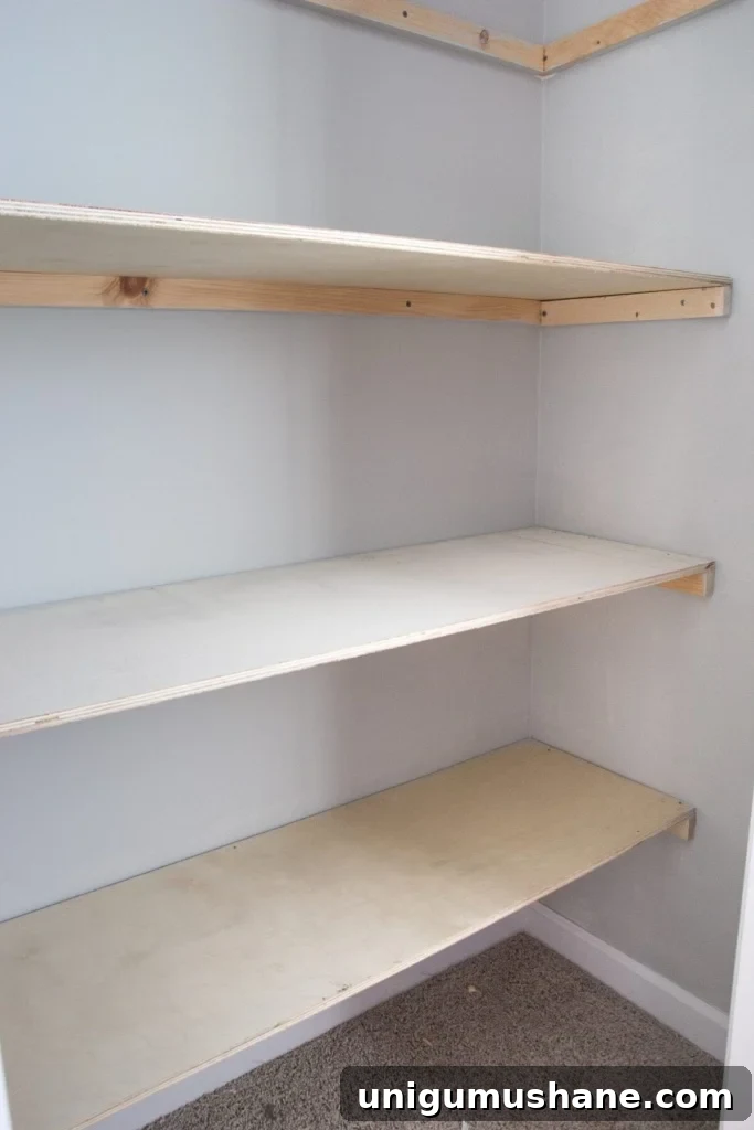 DIY Closet Shelves: Step-by-Step Build Guide 5 Basic DIY Closet Shelving | blesserhouse.com | Super awesome beginner home improvement project! And gets rid of those crappy wire shelves. Ew.