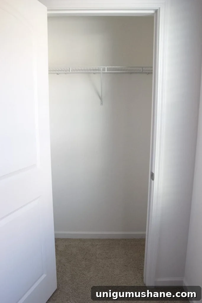 How to Organize a Craft Closet Like a Rockstar | blesserhouse.com