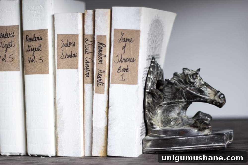 DIY French-Style Books Inspired by Restoration Hardware 8 DIY Restoration Hardware French Mute Books | blesserhouse.com