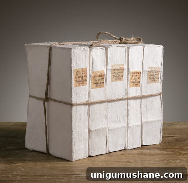 DIY French-Style Books Inspired by Restoration Hardware 4 DIY Restoration Hardware French Mute Books | blesserhouse.com