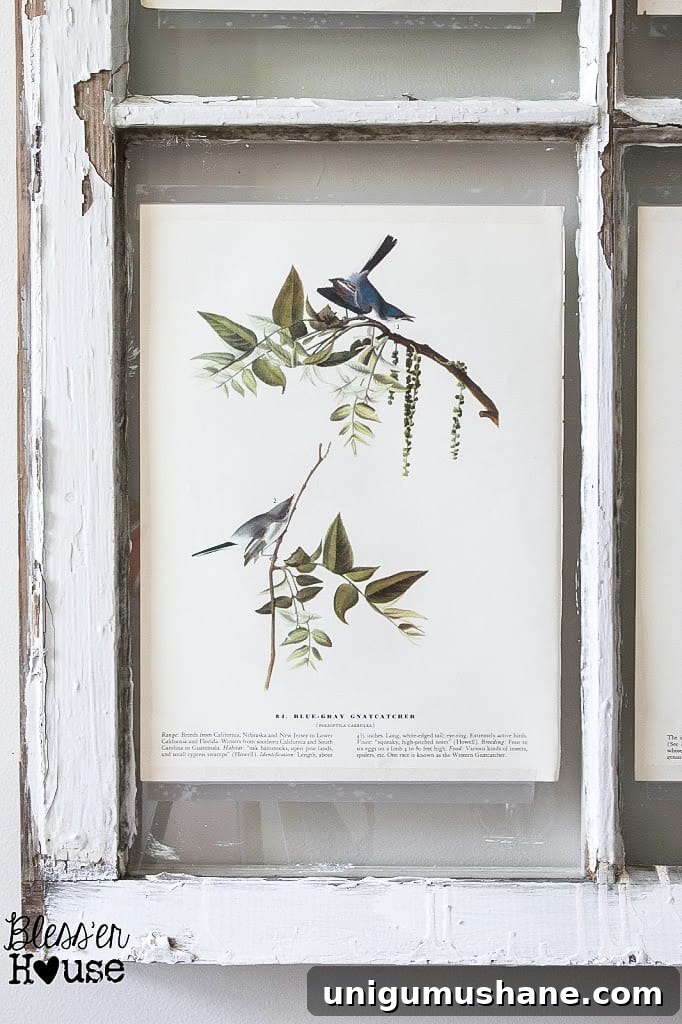 Easy Window Picture Frame and Free Botanical Printables | blesserhouse.com