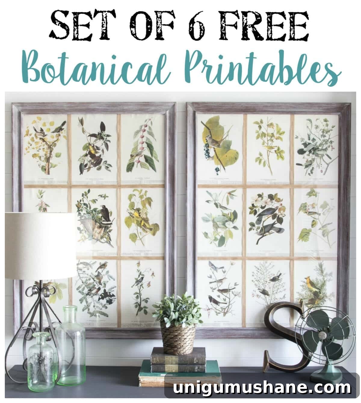 Free Botanical Printables | blesserhouse.com