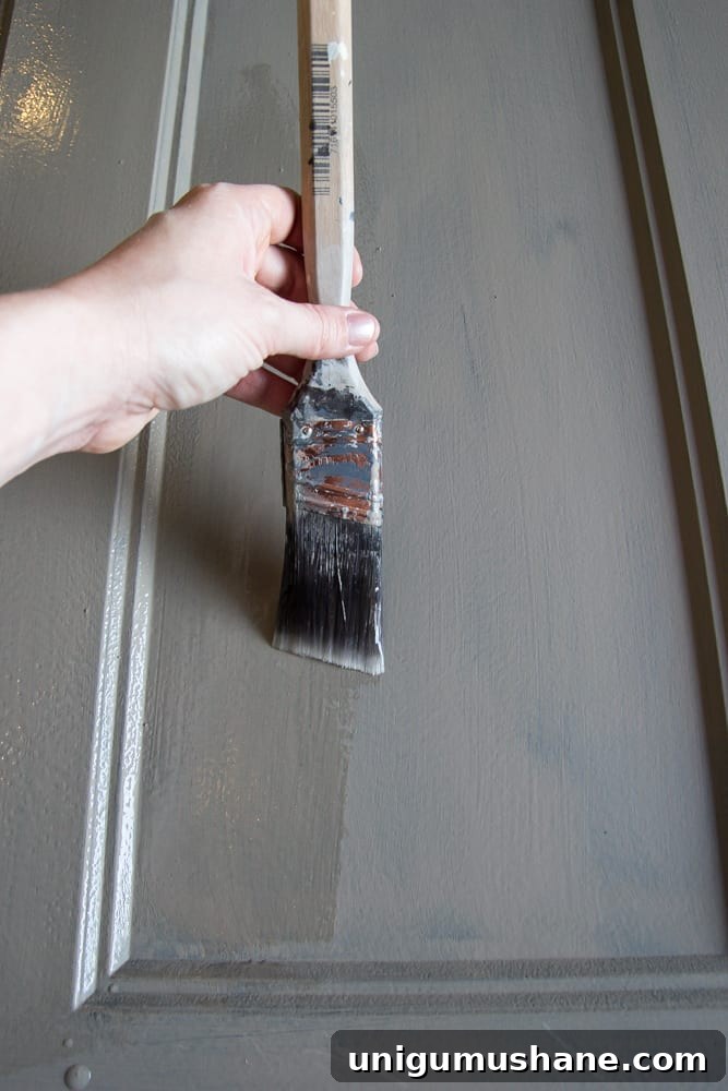 How to Distress Hollow Core Doors for a Rustic Look 4 How to Distress Hollow Core Doors to Get a Chippy Paint Finish | blesserhouse.com